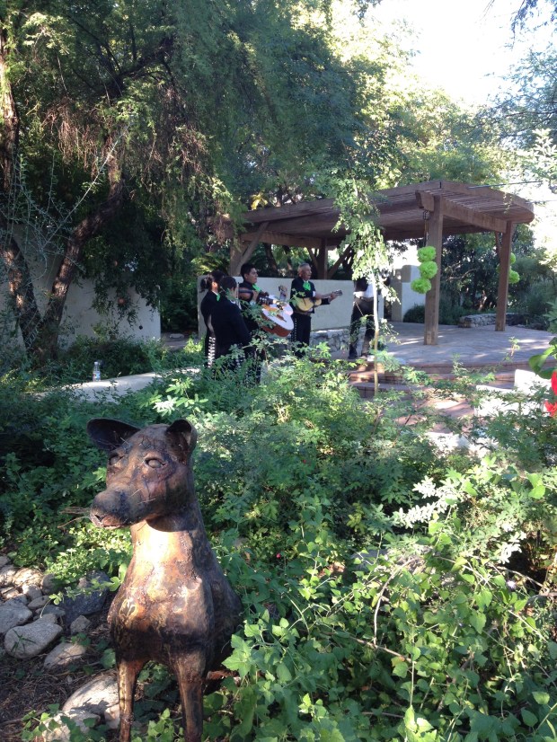 Performance Garden at Tohono Chul