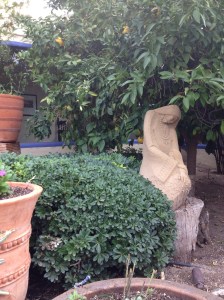 Serene landscaping at Hacienda del Sol